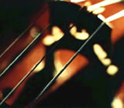 Dinner & Mozart or Dinner & Jazz Night
