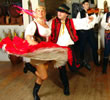 Czech Folk Night Excursion