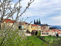 Prague Castle in Spring