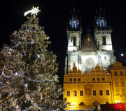 Christmas Tree at the Old Town Square in Prague