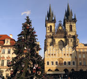 Christmas Tree at the Old Town Square